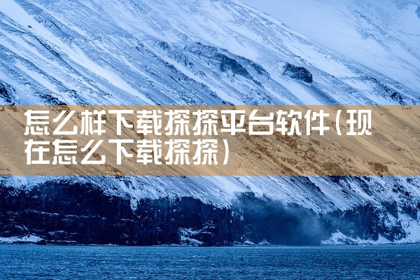 怎么样下载探探平台软件
