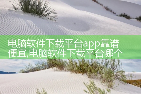 电脑软件下载平台app靠谱便宜