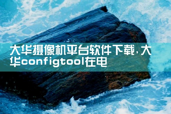 大华摄像机平台软件下载