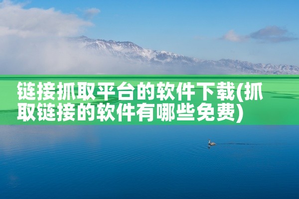 链接抓取平台的软件下载