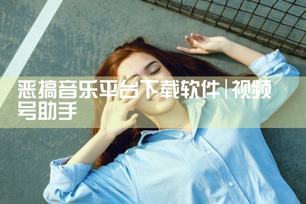 无损下载平台视频的软件
