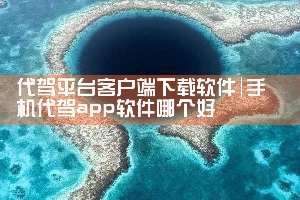 代驾平台客户端下载软件
