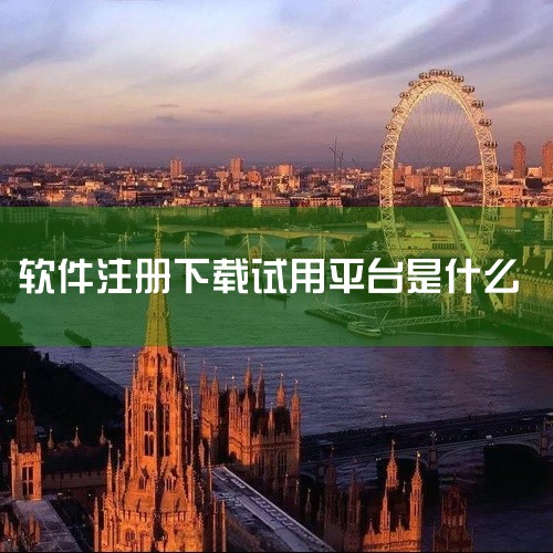 1. 软件试用平台：这类平台主要提供各种软件的试用服务。用户可以在这些平台上免费下载并试用软件，了解其功能和操作界面。这对于软件开发者来说是一个很好的推广方式，同时也能让用户更直观地了解软件是否满足自|